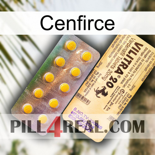 Cenfirce new06.jpg